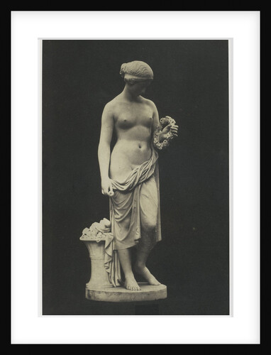 Glycera by C.M. Ferrier & F. von Martens