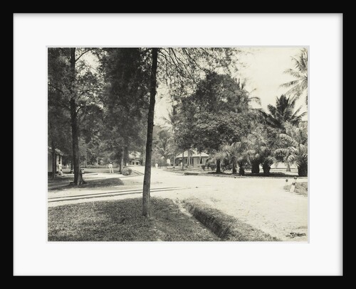 Avenue with trees, houses and Europeans in Indonesia by Carl J. Kleingrothe