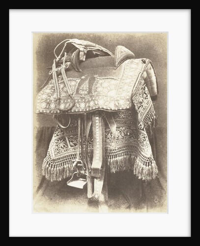 Embroidered saddle from India by Hugh Owen