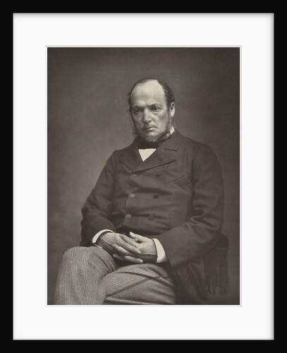 Portrait of the French politician De Marcère by Etienne Carjat