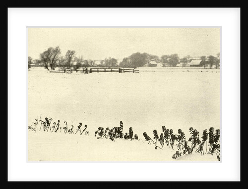 Snowy Landscape by Peter Henry Emerson