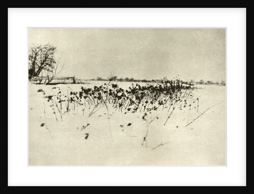 Snowy Landscape by Peter Henry Emerson