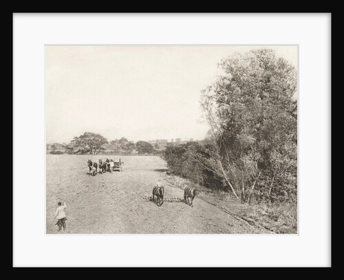 Processing the land with horses ('In The Barley Sele') by Peter Henry Emerson