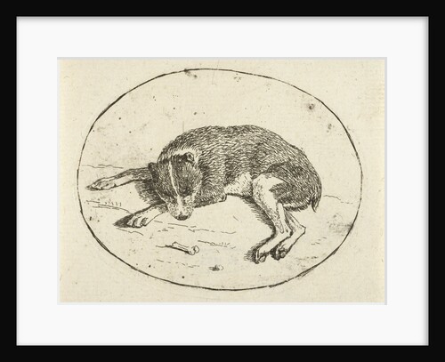 Lying dog by Anthonie van den Bos