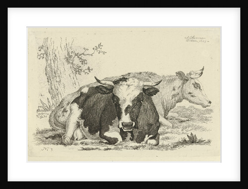 Two cows lying in front of a tree by Anthony Oberman