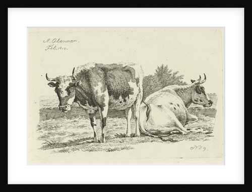 Upright and lying cow by Anthony Oberman