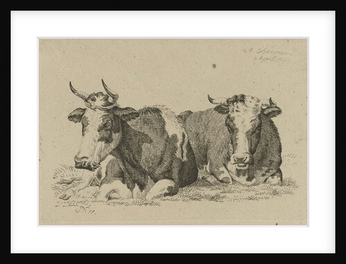 Two reclining cows by Anthony Oberman