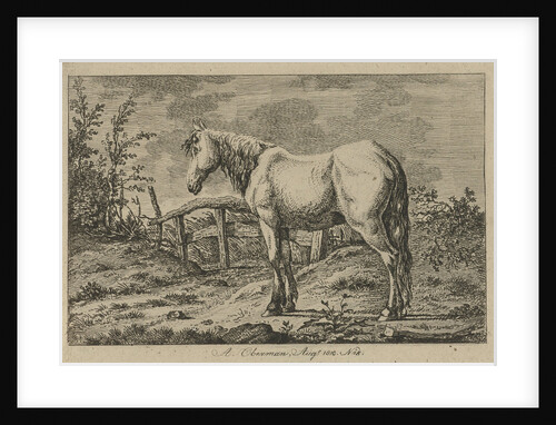 Single horse by Anthony Oberman