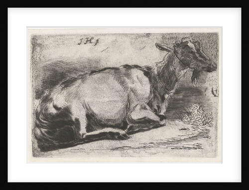 Lying goat by Jabes Heenck