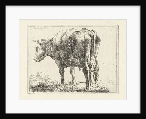 Standing cow by Jabes Heenck