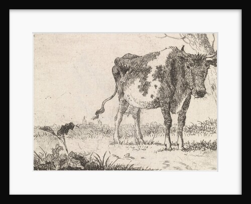 Cow standing in pasture by Johannes Christiaan Janson