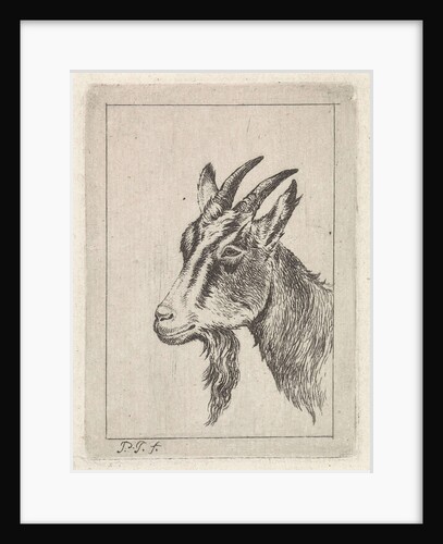 Goats head by Pieter Janson