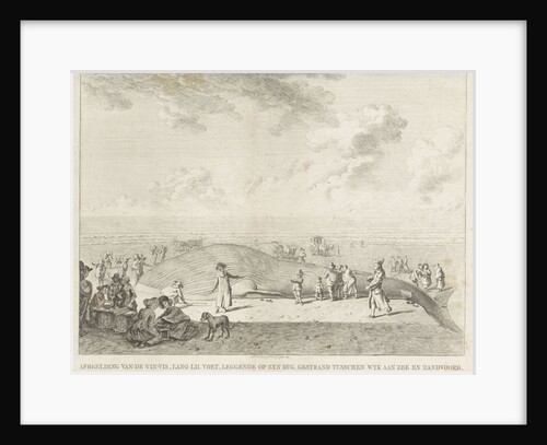 Whale stranded in Wijk aan Zee, 1791 by Leendert Overbeek