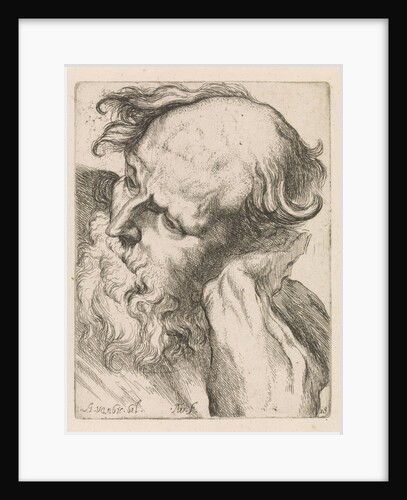 Head of an old man (Joseph) by Augustinus Terwesten I