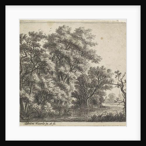 Wooded Island by Anthonie Waterloo