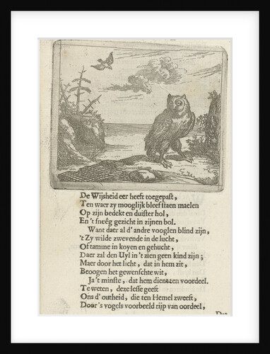 Owl in an open landscape by Arnold Houbraken