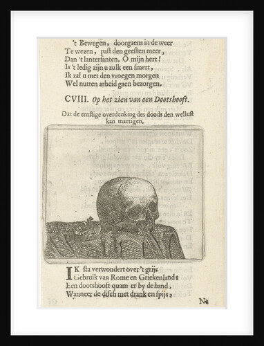 Squirrel on a table by Arnold Houbraken