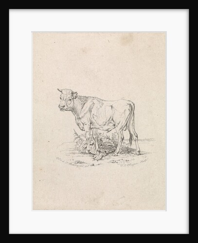 Taurus by Frederik Lodewijk Huygens