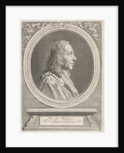 Portrait of Marcello Malpighi by Johannes Kip