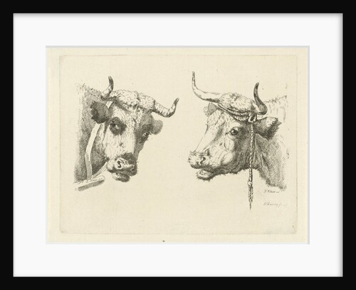 Two cows heads by Pieter Roosing