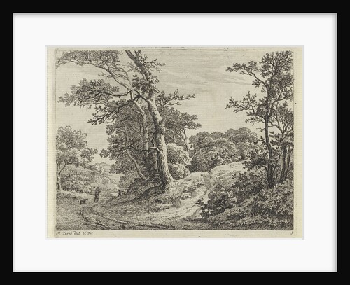 Path along a tree-covered hill, on the road, a man with a dog by Adrianus Serné