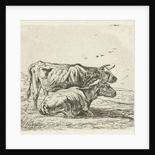Two cows by Aelbert Cuyp