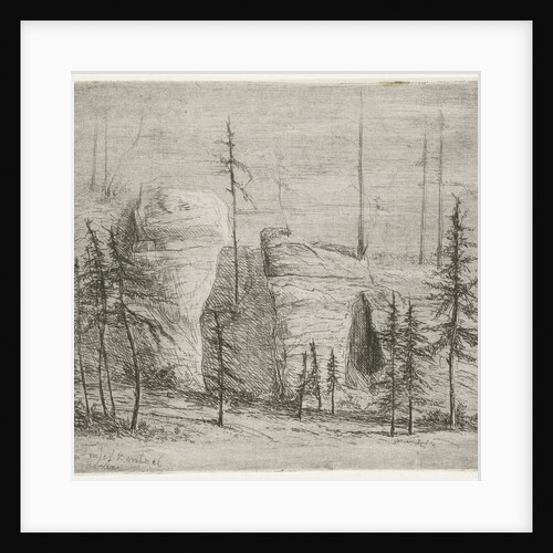 Rocky Landscape with conifers, called Teufelkanzel by Willem Matthias Jan van Dielen