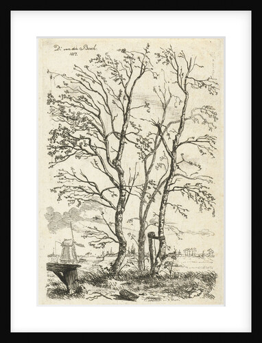 Three birch trees by D. van den Bosch