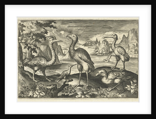 Five birds including spoonbill by Claes Jansz. Visscher II
