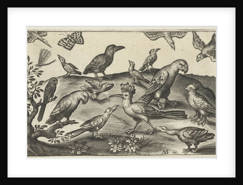Hop and other birds by Claes Jansz. Visscher II