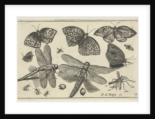 Butterflies and dragonflies by Claes Jansz. Visscher II