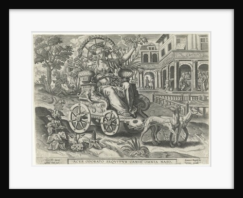 Odour by Johannes Baptista Vrints I