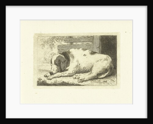 Sleeping dog by Johannes van Cuylenburgh