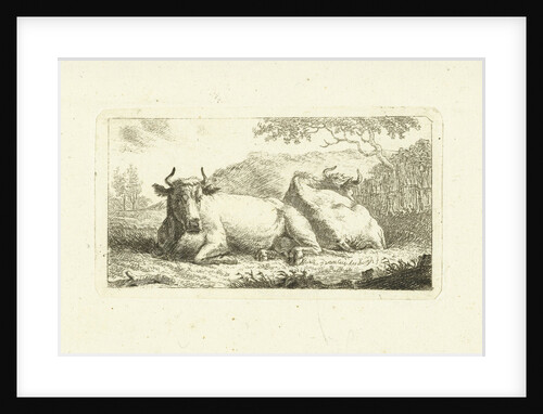 Two reclining cows by Johannes van Cuylenburgh