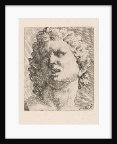 Head of one of the sons of Laocoön, front view by Augustinus Terwesten I