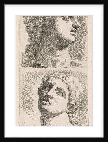 Two heads of Niobe by Augustinus Terwesten I