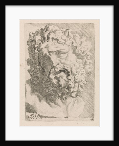Head of Laocoön by Augustinus Terwesten I