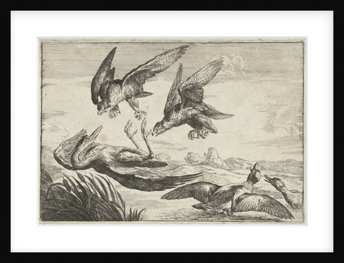Two falcons attack a heron by Peeter Boel