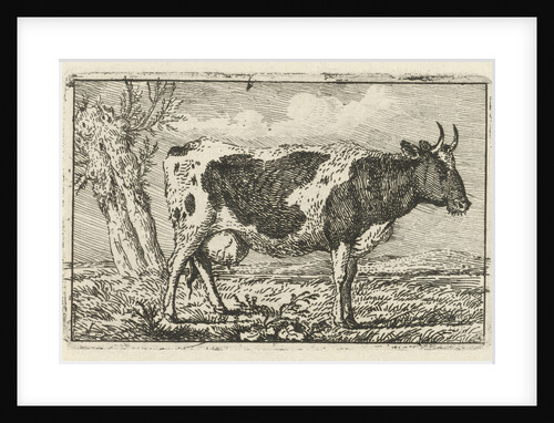 Spotted cow by Anthony Oberman