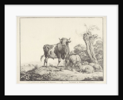 Taurus and sheep by Evert Maaskamp