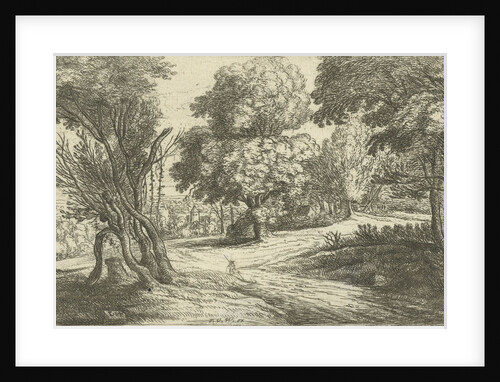 Forest Landscape by Lucas van Uden