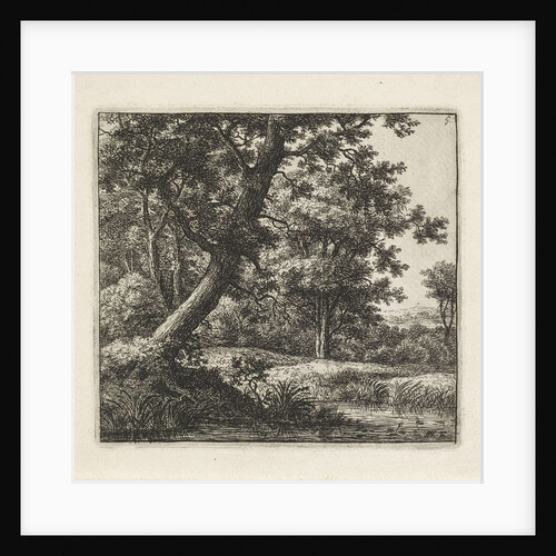 Overhanging tree by Anthonie Waterloo