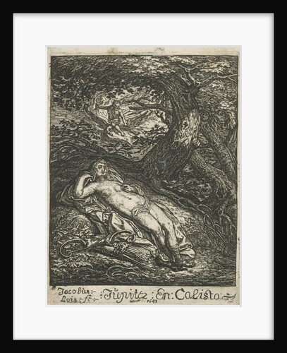 Jupiter and Callisto by Jacob Lois