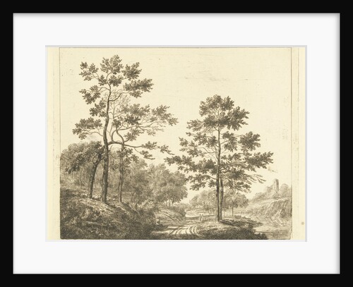Forest trail in hilly landscape by Johannes Franciscus Christ