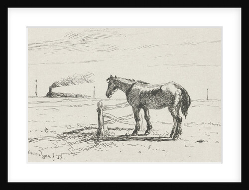 Horse in a pasture, Henry van Ingen by Joseph Hartogensis