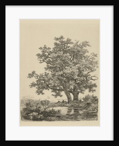 Two oaks on a small lake by Remigius Adrianus Haanen