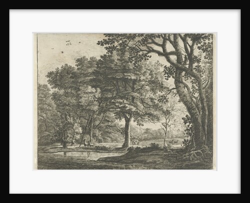 Deer in The Hague Forest by Roelant Roghman