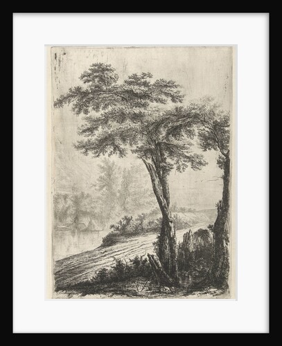 trees on the side of the road by Willem de Heusch