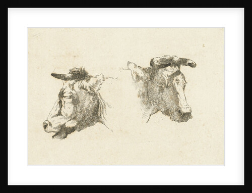 Two heads of cattle by Gerard Bilders