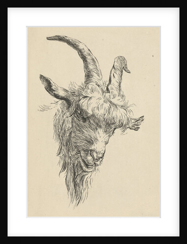 Head of a goat by Jan Kobell